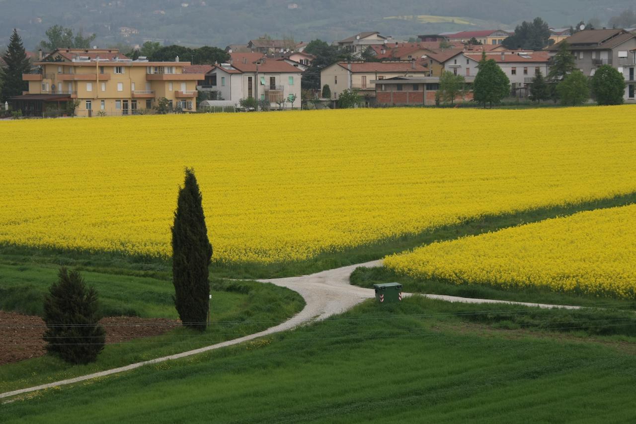 Palazzo Santinelli Bed & Breakfast ซานต์ แอนเจโล อิน วาโด ภายนอก รูปภาพ